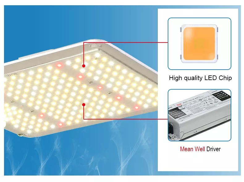 dimming quantum board LED grow light 110W 100W lm301b samsung sinostar lighting 9