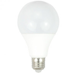 LED Bulbs - A Shape