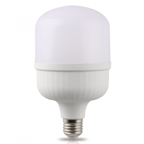 LED Bulbs - Plastic T Shape 